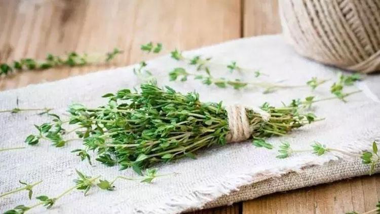 Yağları cayır cayır yakıp tıp gibi zayıflatıyor İştahı bıçak gibi kesiyor