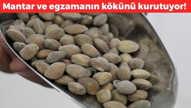 Güneydoğu Anadolunun favorisi Geleneksel tıpta yüzlerce yıldır kullanılıyor: Ayaktaki mantar ve egzamanın kökünü kurutuyor, köpükleyip 5 dakika bekletin