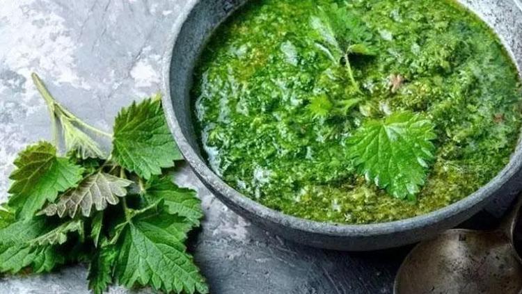 ISIRGAN OTU: BAĞIŞIKLIK SİSTEMİNİ KUVVETLENDİRİYOR