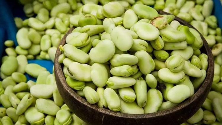 BAKLA: YAŞLANMAYA MEYDAN OKUYOR