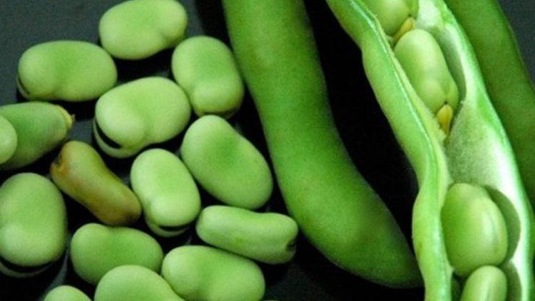 100 yaşına kadar yaşamanın sırrı Meğer yıllar önce açıklanmış: 3 besini tüketenin ömrü uzuyor