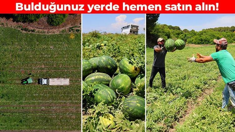 Adanada hasadı devam ediyor Kilosu 9-10 TLye kadar düştü: Kavurucu sıcaklarda tüketin