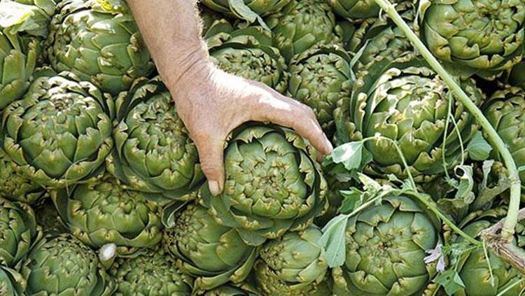 Egeliler zeytinyağlısını yapıp yiyor Limonlu suda bekletin: Kolesterolün kökünü kazıyor, kalbi tıkır tıkır çalıştırıyor