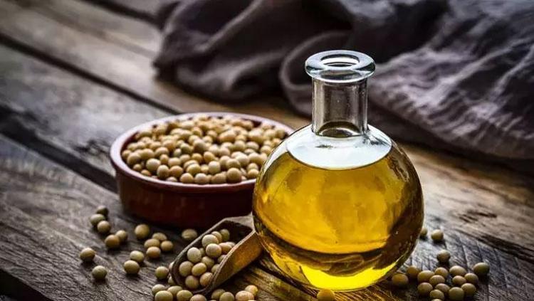 YÜKSEK PROTEİN KAYNAĞI: SOYA FASULYESİ