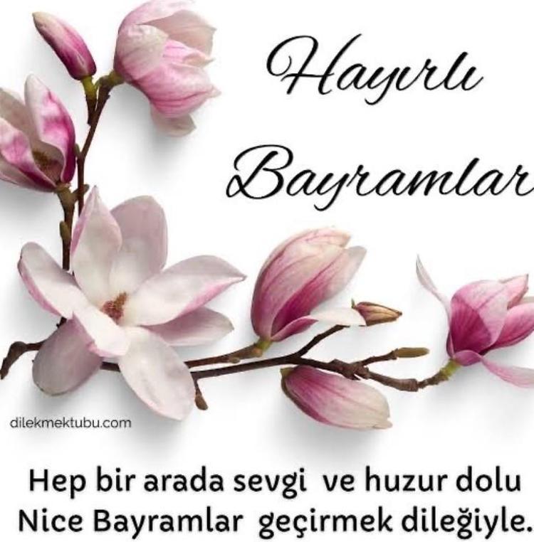 NEVRA SEREZLİ