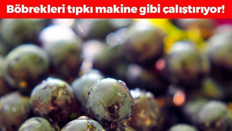 Böbrekleri diyalizin pençesinden kurtarıyor Her gün 1 avuç yemek yetiyor, böbrekleri makine gibi çalıştırıp taş oluşumunu engelliyor