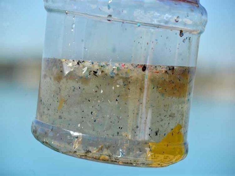 Uzman isimden korkutan plastik uyarısı Maruziyet anne karnında başlıyor, organ kanserlerinde artış gözlemlenecek