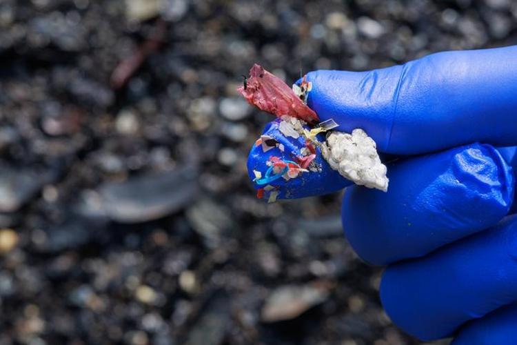 Uzman isimden korkutan plastik uyarısı Maruziyet anne karnında başlıyor, organ kanserlerinde artış gözlemlenecek