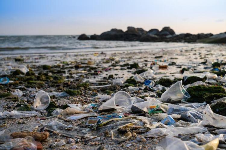 Uzman isimden korkutan plastik uyarısı Maruziyet anne karnında başlıyor, organ kanserlerinde artış gözlemlenecek