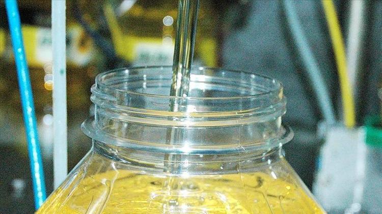 Edremitin altını olarak biliniyor Hem serinletiyor hem zayıflatıyor: Her sabah aç karnına 1 kaşık için