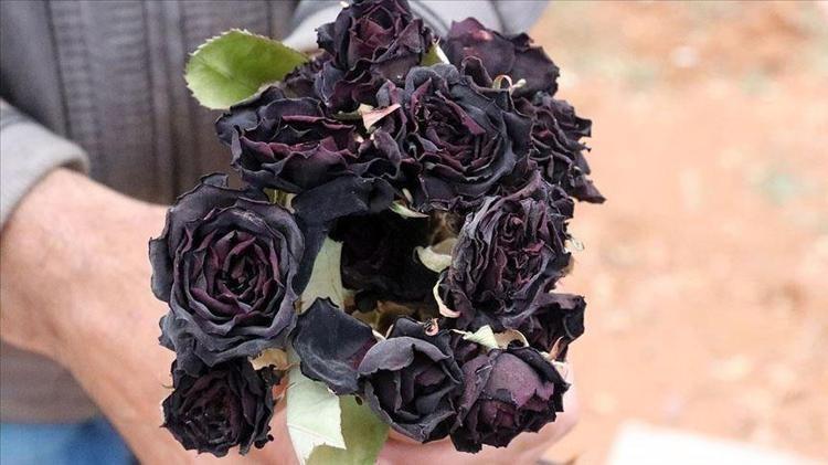 RAHATLATICI VE AROMATİK TERAPİ