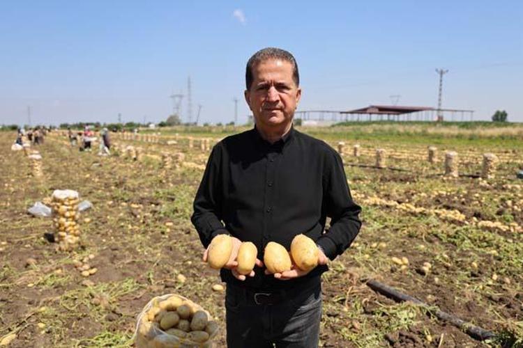 Kilosu 7 TLye kadar düştü Kolesterolü düşürüp kabızlığın ve basurun kökünü kazıyor