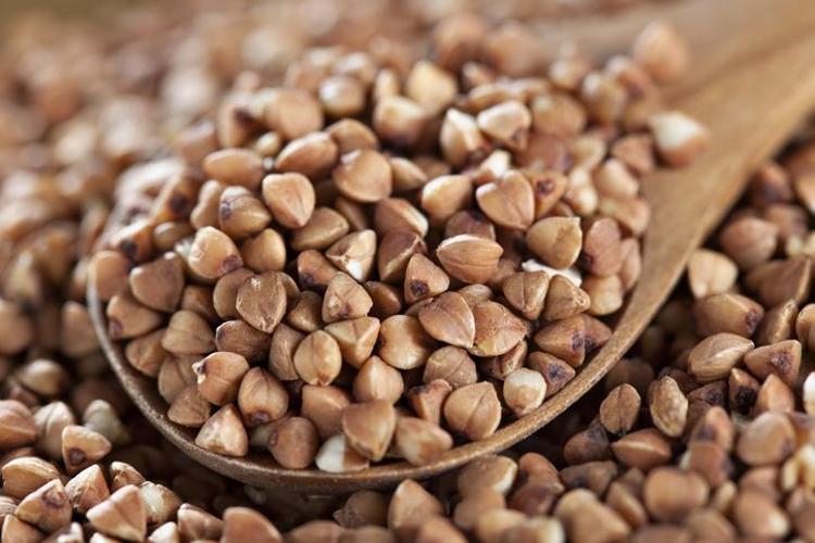 GLUTENSİZ DOĞAL BİR KAYNAKTIR