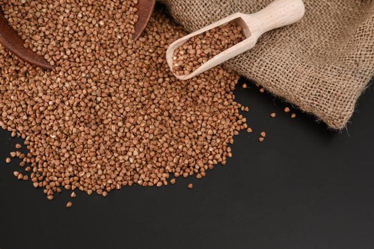 YÜKSEK ORANDA PROTEİN İÇERİR