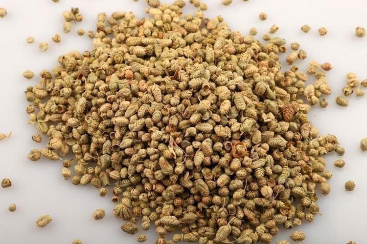 Osmanlıda yemeklere avuç avuç atılıyordu Limondan ve sarımsaktan 30 kat daha etkili, öksürük, balgam ve hırıltının kökünü kazıyor Boğazdaki mikropları öldürüyor