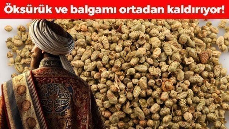 Osmanlıda yemeklere avuç avuç atılıyordu Limondan ve sarımsaktan 30 kat daha etkili, öksürük, balgam ve hırıltının kökünü kazıyor Boğazdaki mikropları öldürüyor