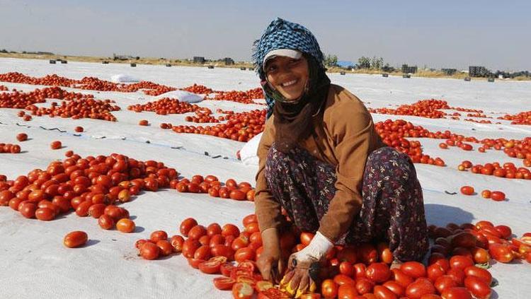 KALP VE DAMAR SAĞLIĞINI DESTEKLER