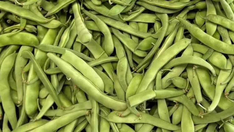 BAĞIŞIKLIK SİSTEMİNİ GÜÇLENDİRİR