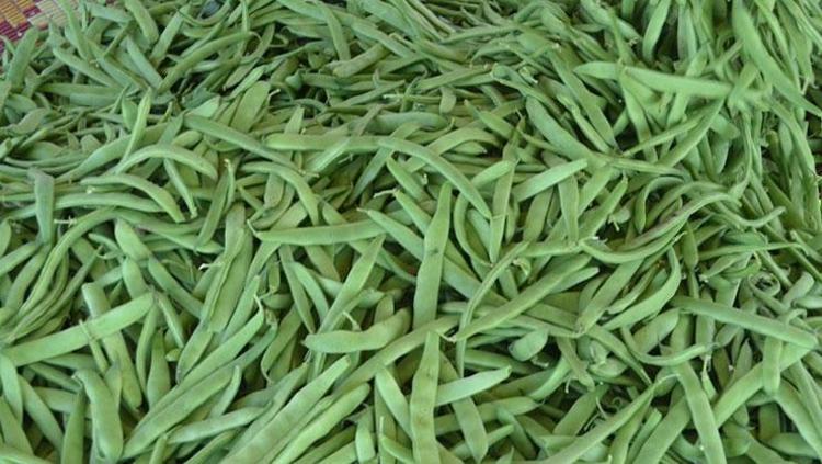 METABOLİZMAYI HIZLANDIRIR