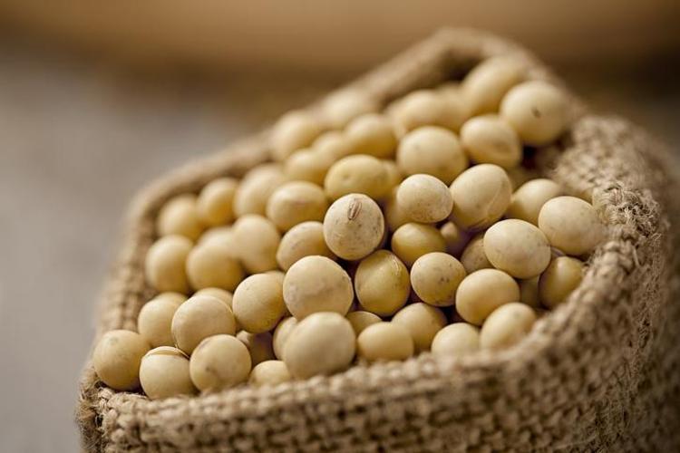 SOYA ÜRÜNLERİ: HORMON DENGESİNE KATKI