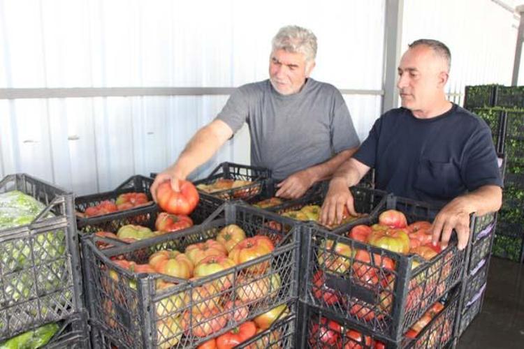 Kilosu 25 TLye kadar düştü Suyunu bardak bardak içince kolesterolü damardan kazıyor, doğanın C vitamini kralı