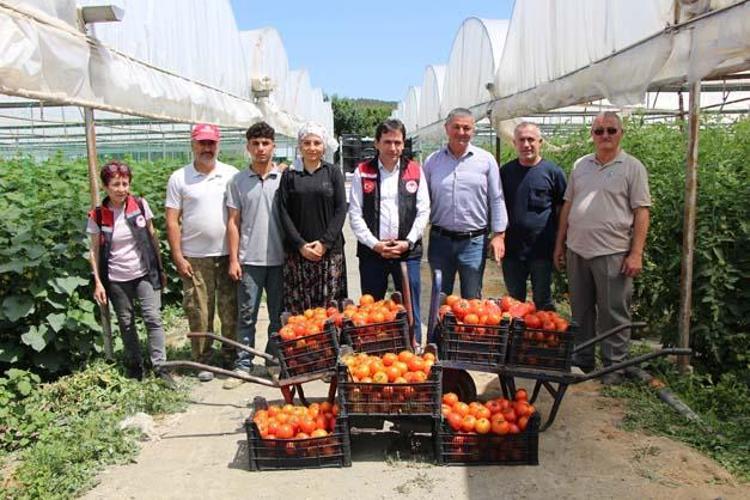 Kilosu 25 TLye kadar düştü Suyunu bardak bardak içince kolesterolü damardan kazıyor, doğanın C vitamini kralı