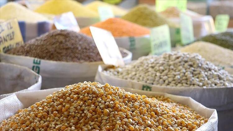 Bakliyatların böceklenmesini engelliyor Kavanozun içine 1 tane koyun: Yaz boyu güve sorununu yok ediyor