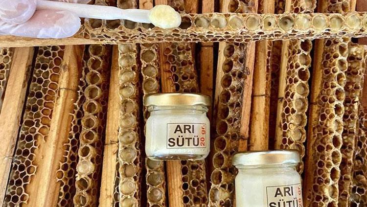 MUCİZEVİ BESİN: ARI SÜTÜ