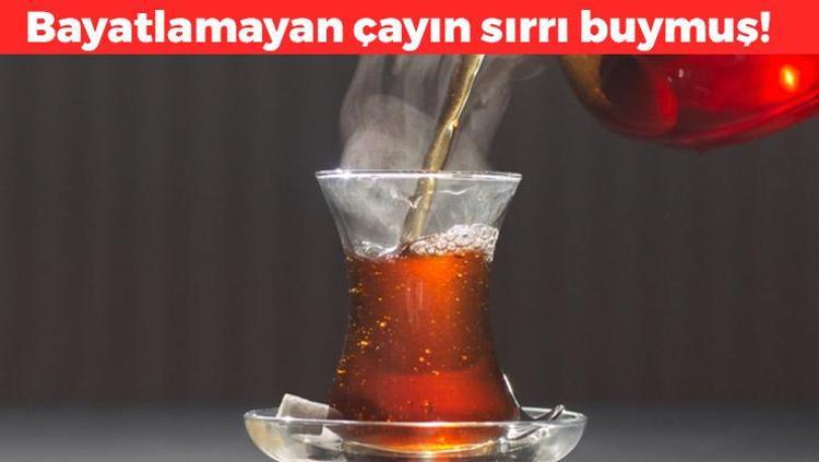 Bayatlamayan çayın sırrı buymuş Demlerken içine 1 tane ekleyin: Saatlerce taze kalıyor