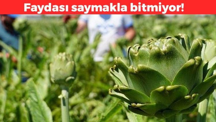 Pazardan 5 tane enginar alanlar yaşadı
