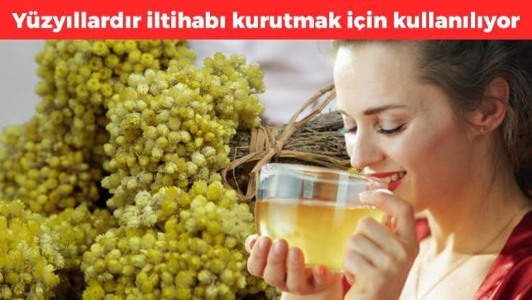 Dağda kendiliğinden yetişiyor Çayını yapıp bardak bardak için: Böbrekleri diyalizin pençesinden kurtarıyor, İltihap kurutmak için kullanılıyor