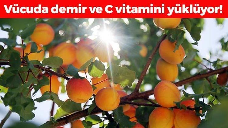 Suyunu bardak bardak içince bağırsakları motora çeviriyor A, C vitamini ve demir zengini, kan şekerini anında dengeliyor