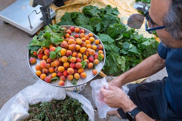 KAN ŞEKERİNİ DÜZENLER