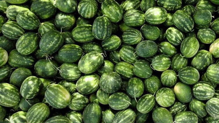Karpuz seçerken bu hataya düşmeyin Kabuğu ve şeklinden kendini ele veriyor: 8 adımda karpuz seçme rehberi