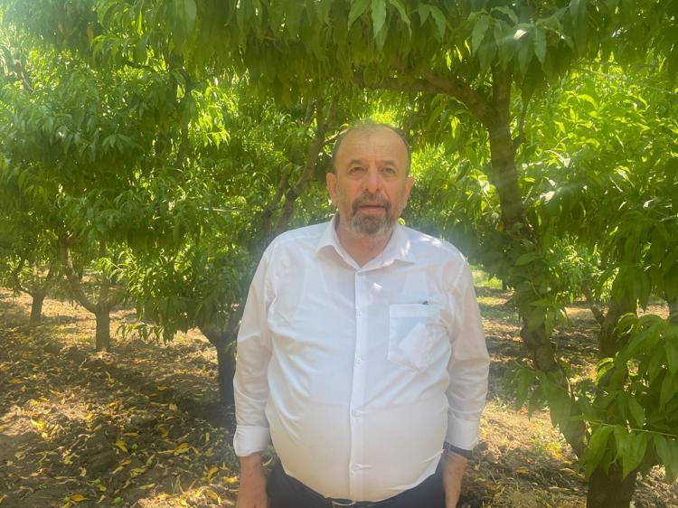 Kilosu 50 TLden satılıyor Tıkalı damarları tıpkı yağ çözücü gibi açıp tansiyonu dengeliyor Kalbe iyi gelen meyve