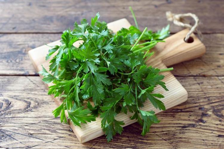Markette demeti 20 TL ama evde bedava Cam kenarında bile yetişiyor: A, C ve K vitamini zengini, kemikleri betona çeviriyor