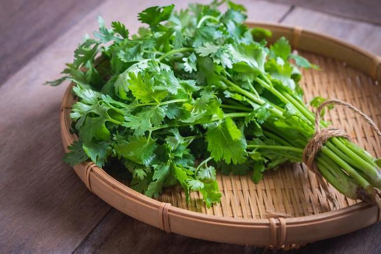 Markette demeti 20 TL ama evde bedava Cam kenarında bile yetişiyor: A, C ve K vitamini zengini, kemikleri betona çeviriyor