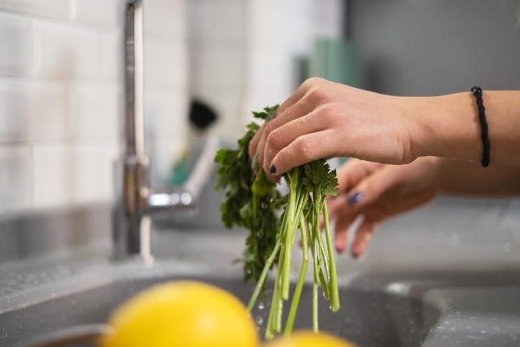 Markette demeti 20 TL ama evde bedava Cam kenarında bile yetişiyor: A, C ve K vitamini zengini, kemikleri betona çeviriyor