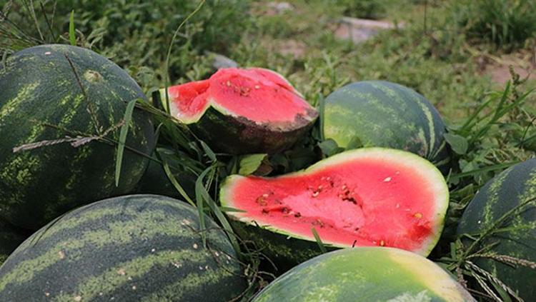 ‘BÖBREK HASTALARI DİKKATLİ TÜKETMELİ’