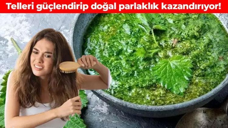 Saç dökülmesini maziye karıştırıyor Kökleri coşturuyor, saçları halat gibi sağlamlaştırıyor