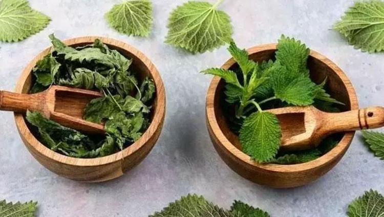 Saç dökülmesini maziye karıştırıyor Kökleri coşturuyor, saçları halat gibi sağlamlaştırıyor
