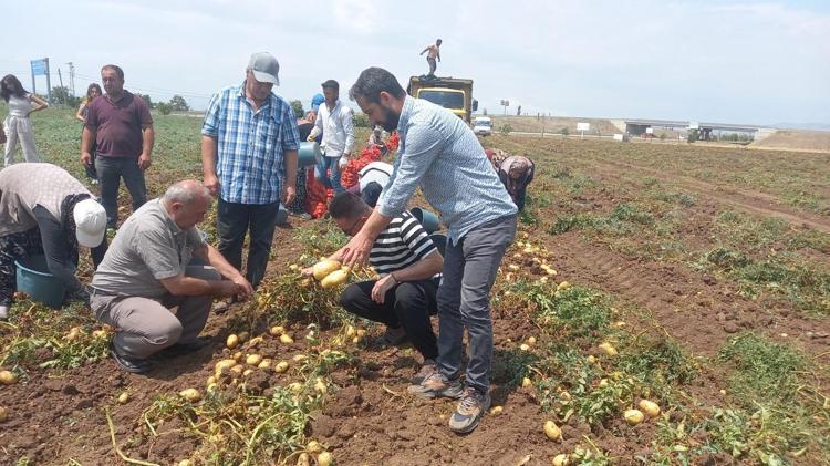Patatesin en sağlıklı hali Böyle yiyince tüm gün tok tutuyor