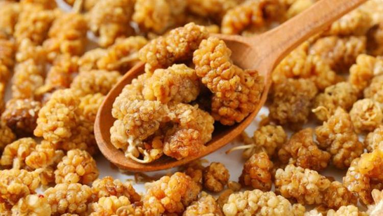 DUT KURUSU: HASTALIKLARA KARŞI DOĞAL BİR KALKAN