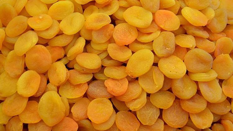 KAYISI KURUSU: DENGELİ SİNDİRİMİN KEYFİ