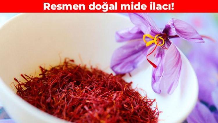 Dünyanın en pahalı baharatı Vücuda girdiği anda makine gibi çalışıyor: İlaç gibi etki gösterip mideyi korkuyor