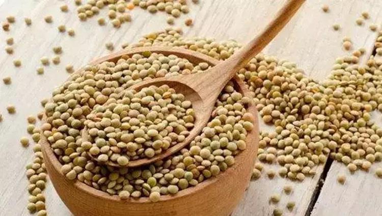 PROTEİN KALİTESİ SAĞLIK ÜZERİNDE BELİRLEYİCİ