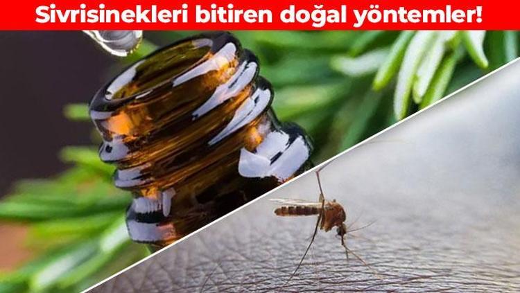 Sıcak havalarda sivrisineğin kökünü kazıyor 12 saate kadar yüzde 100 koruma sağlıyor