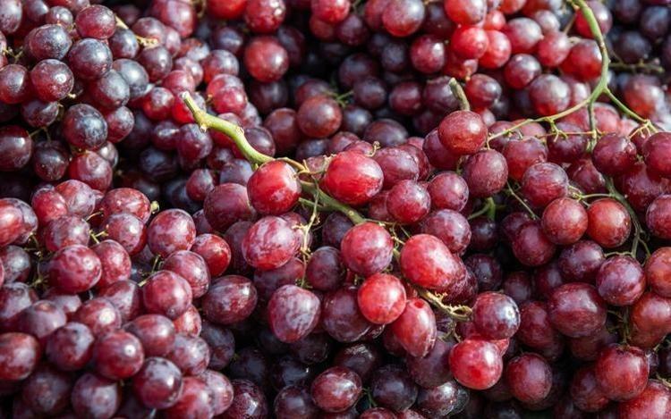 Böbrekleri diyalizin pençesinden kurtarıyor Her gün 1 avuç yemek yetiyor, böbrekleri makine gibi çalıştırıp taş oluşumunu engelliyor