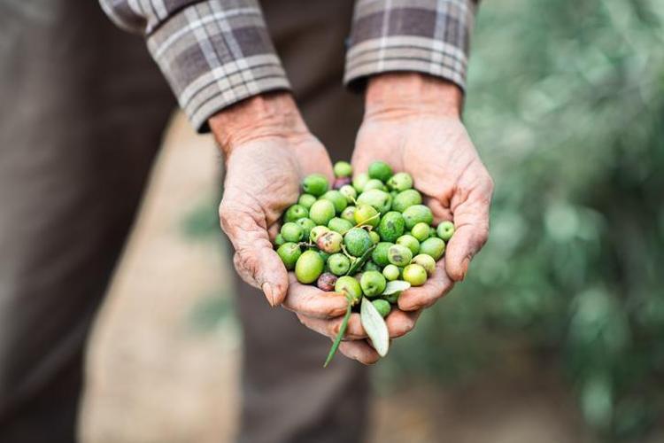 KEMİK SAĞLIĞINI DESTEKLER