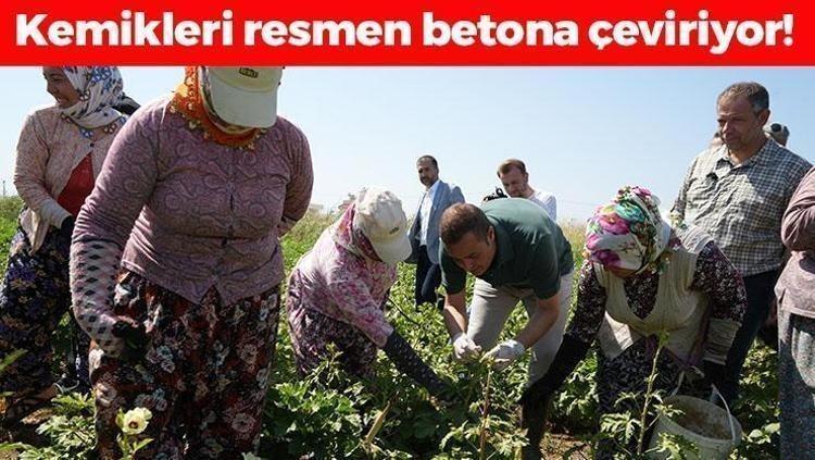 Bağırsakları motor gibi çalıştırıp magnezyum depolarını fullüyor Kilosu 90 TL: Kemikleri beton gibi yapıyor